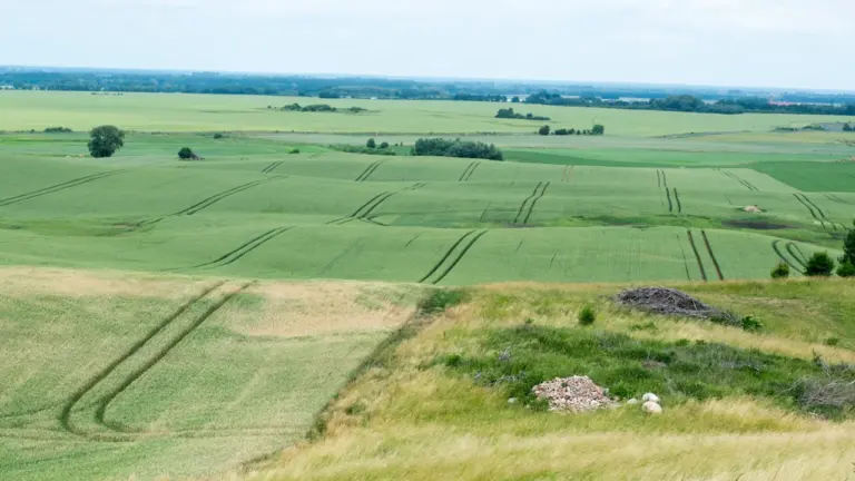 Baltijos kelio 37-osios metinės: ką mena Lietuvos vietos
