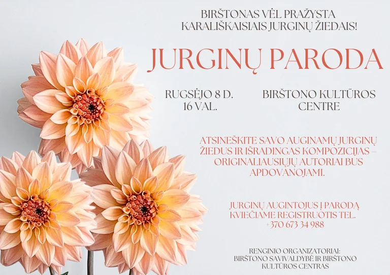 Birštone rugsėjo 8-ąją: jurginų žiedų paroda kultūros centre