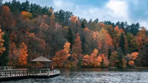 Orai Lietuvoje: savaitgalį numatomas temperatūros kritimas