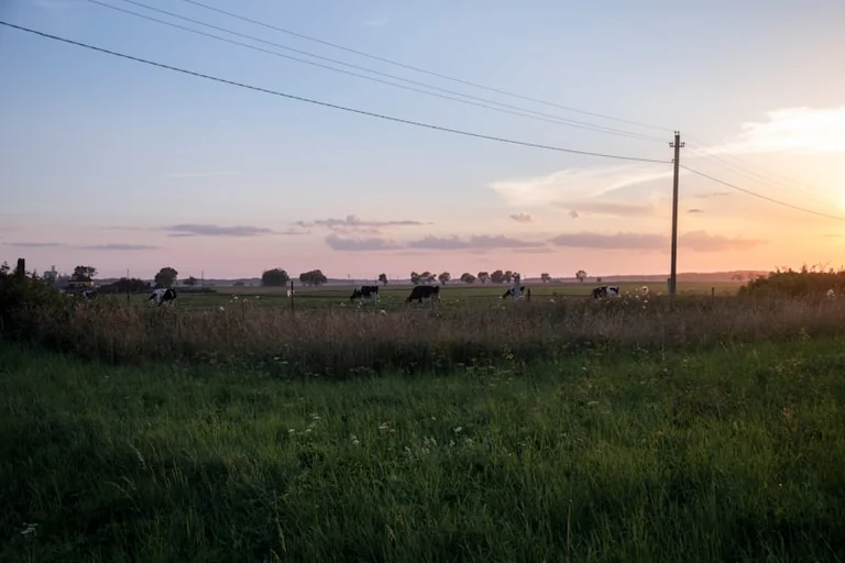 Rugpjūčio 22–23 d.: Dūkštos, Pūčkoriai ir Marcinkonys