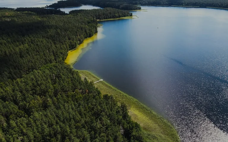 Savaitgalis Lietuvoje rugpjūčio 29–30 d.: planas pagal orus