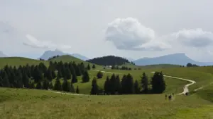 Vingiuotas takas per žaliuojančias kalvas, kviečiantis leistis į žygį Pavandenėje.