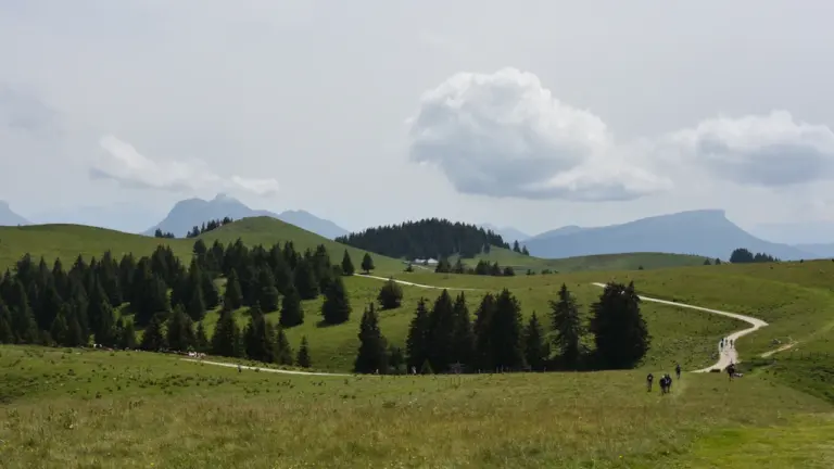 Vingiuotas takas per žaliuojančias kalvas, kviečiantis leistis į žygį Pavandenėje.