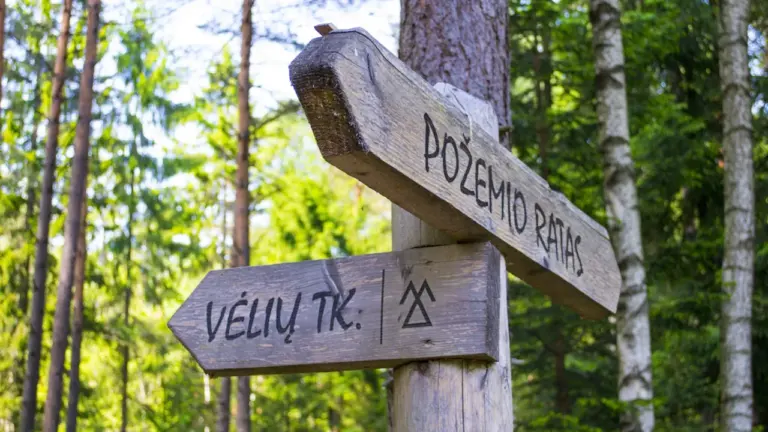 Medinis rodyklės stulpas su užrašais „Vėlių takas“ miško apsuptyje Telšių rajone