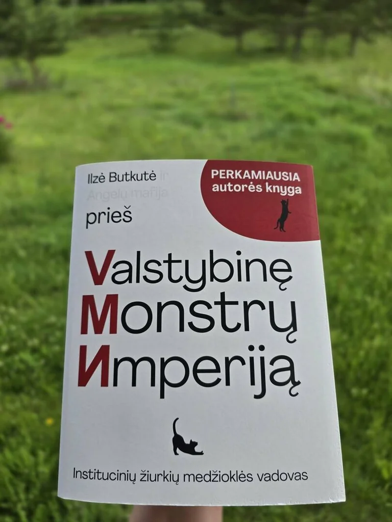 VMI labdaros fondas uždarytas: VTEK tiria buvusią viršininkę