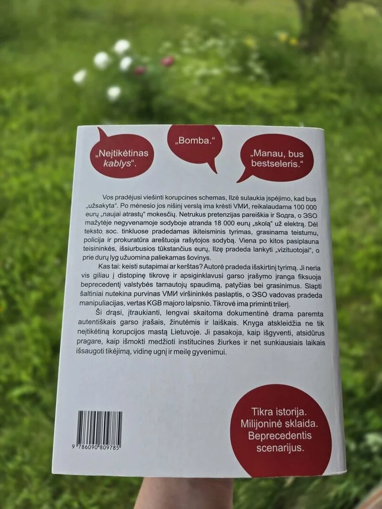 VMI labdaros fondas uždarytas: VTEK tiria buvusią viršininkę