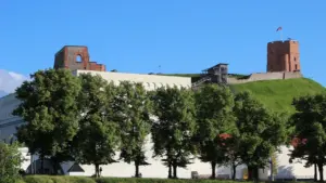 Brigada „Lietuva“ Vilniuje: kas keičiasi saugume