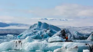 Europiečių požiūris į klimatą keičiasi: KTU tyrimo skaičiai