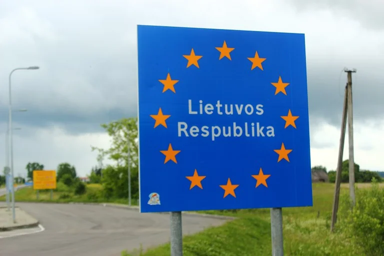 Lietuva ir 995 mln. eurų: sprendimas iki rugsėjo 30 d