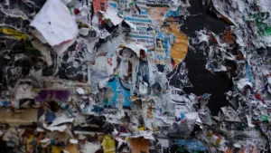 Anykščių pagrindinei Kalėdų eglei ieškoma tinkamo medžio: kaip jį pasiūlyti