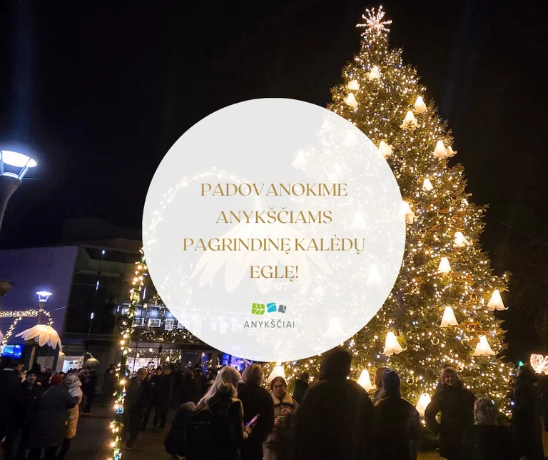 Anykščių pagrindinei Kalėdų eglei ieškoma tinkamo medžio: kaip jį pasiūlyti
