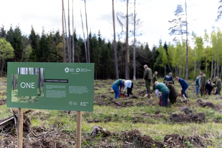 Lietuviški projektai siekia tarptautinio pripažinimo