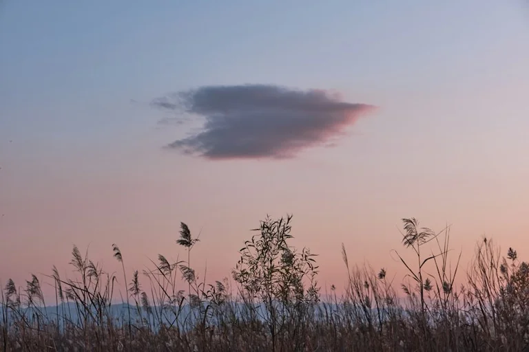 Spalio 1-osios horoskopas: ramus vakaras visiems Zodiako ženklams